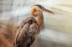 GREAT BLUE HERON Painting